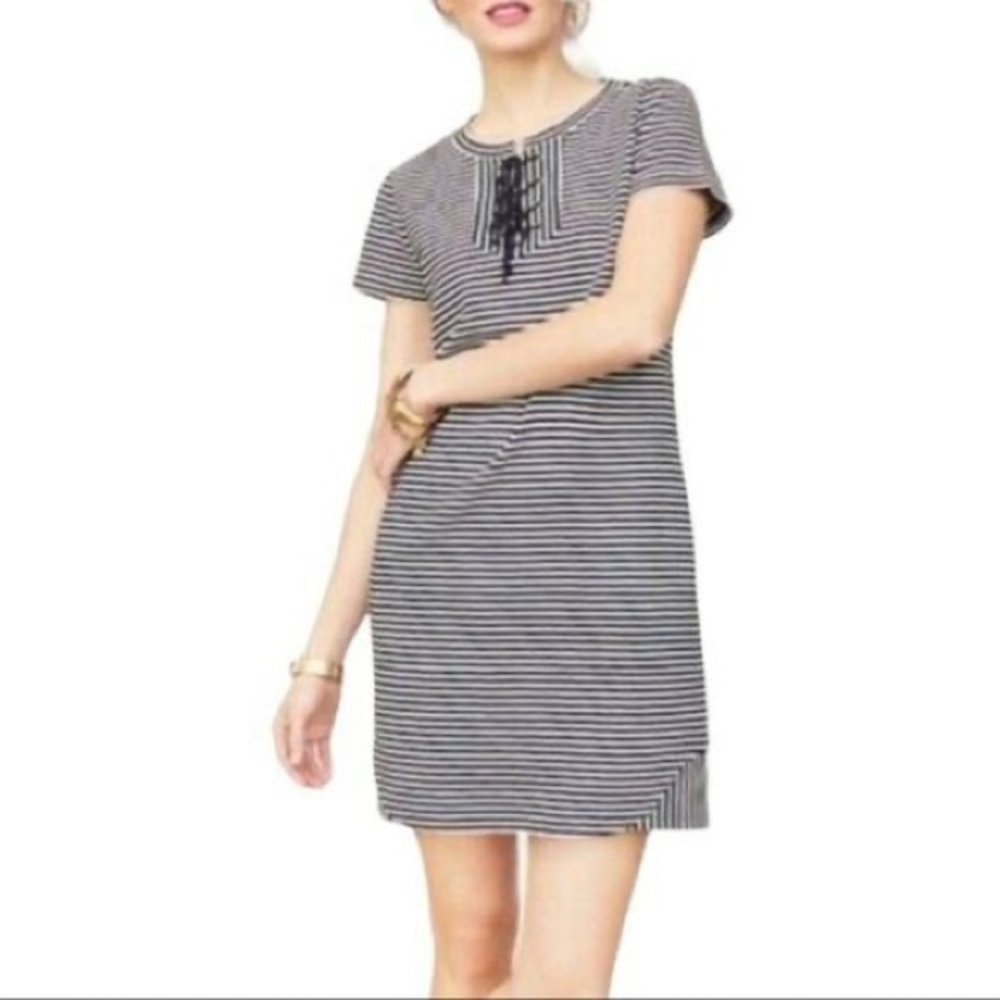 CAbi Limited Edition Captain Dress in Navy and White Stripe 5268